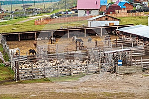 Corral livestock on the farm