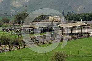 Corral and ranch in Golan Heights