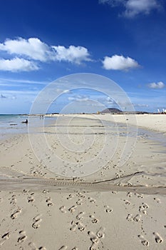 Corralejo beach in Fuerteventura