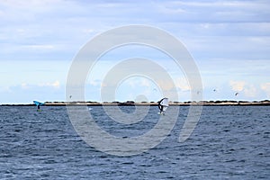 Corralejo, Canary island of Fuerteventura, Spain - November 25 2023: windsurfing in front of the coastline