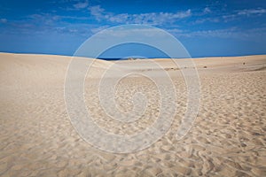 Corralejo dunes