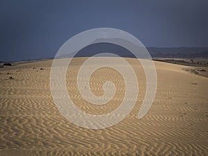 Corralejo natural reserve, Fuerteventua, Canary- Islands,[Canary Islands] Spain