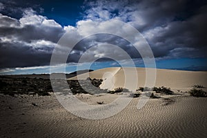 Corralejo natural reserve, Fuerteventua, Canary- Islands,[Canary Islands] Spain