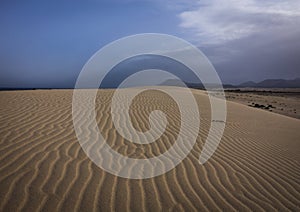 Corralejo natural reserve, Fuerteventua, Canary- Islands,[Canary Islands] Spain