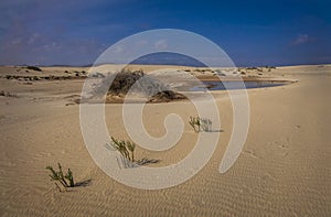 Corralejo natural reserve, Fuerteventua, Canary Islands, Spain