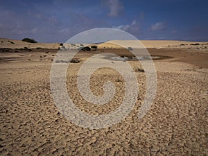 Corralejo natural reserve, Fuerteventua, Canary Islands, Spain