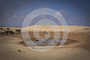 Corralejo natural reserve, Fuerteventua, Canary Islands, Spain