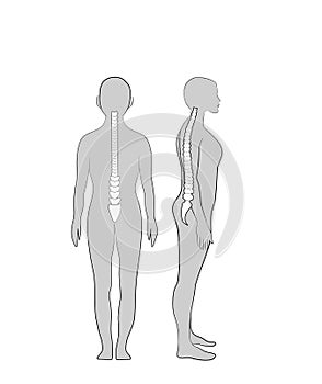 Correct alignment of human body in standing posture for good personality and healthy of spine and bone. Health care and medical il