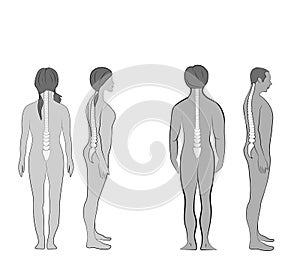 Correct alignment of human body in standing posture for good personality and healthy of spine and bone. Health care and medical il