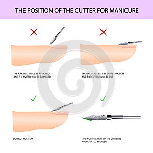 Correct use of the cutter. Professional manicure guide, Vector illustration, infographics photo