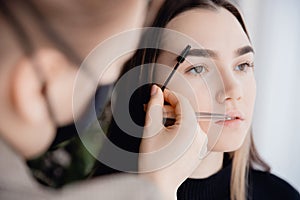 Correction and tint henna of eyebrows, master applies brush to woman marking on brow