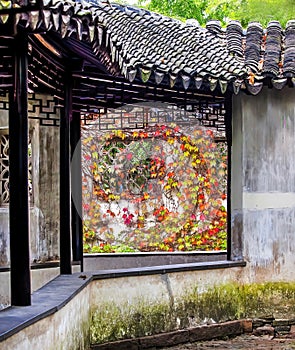 Corredor Window Fall Leaves Garden Humble Administrator Suzhou China photo