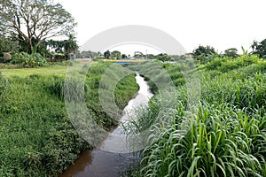 Corrego do cedro watercourse