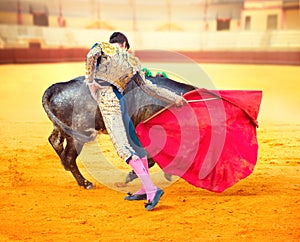 Corrida. Spanish Bullfight
