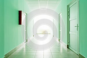 The corridor with bright light from the window, a hall with green walls and white doors