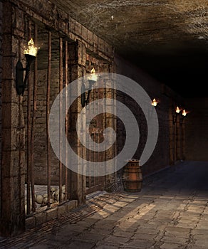 Corridor in a castle dungeon