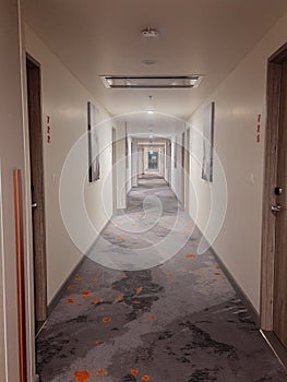 Corridor design, funiture and carpet