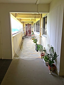 Corridor - HDB flat