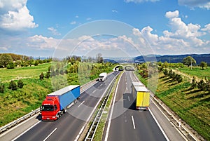 Corridor highway with the transition for animals, the highway ride colored and white trucks