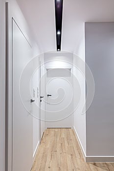 Corridor in modern design apartment with white door