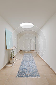 Corridor of a modern flat with a skylight and a carpet in the middle