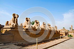 Corridor of Sphinxes of the god Amon Ra, Body of the lion and head of a sheep