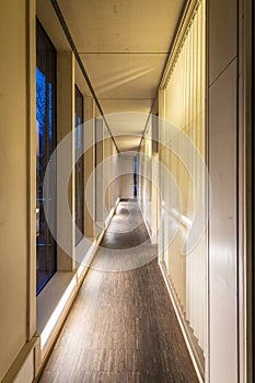 Corridor of a wood office building with industrial parquet, window front and lighting