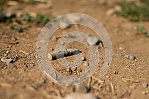 Corroded gun sleeve in desert