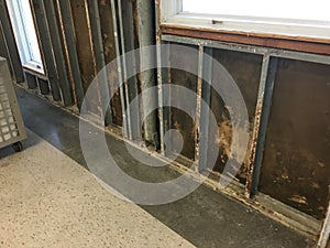 Corroded steel studs and mold on sheathing photo