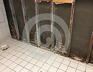 Corroded steel studs and mold on sheetrock photo