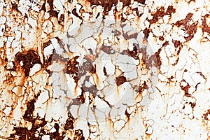 Corroded white metal background