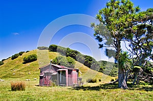 Corrugated iron pioneer cottage in the hills of South Island, New Zealand