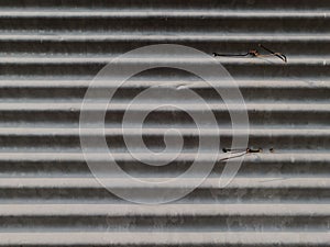 Corrugated metal sheet with rusty nails. Background and texture.