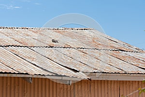 Corrugated tin sheet roof with rust patina on an old building