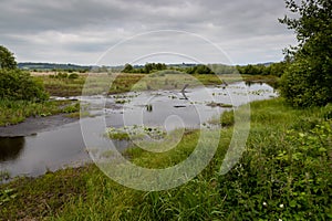 Cors Caron peat bogs