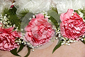 Corsages for pink Carnations