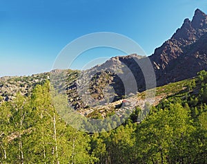 Corse View on refuge Ortu di Piobbu first part of GR 20 famous trek with green birch tree sharp mountain peak and blue sky