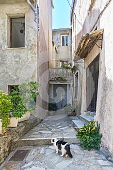 Corsica, Erbalunga, typical houses