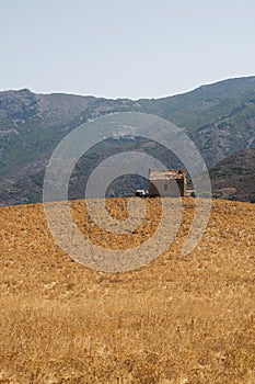 Patrimonio, Haute Corse, Corsica, Upper Corsica, France, Europe, island photo