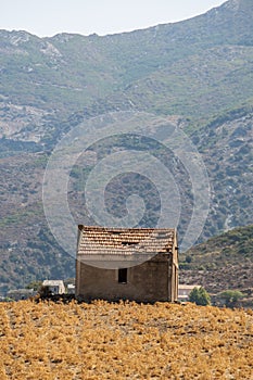 Patrimonio, Haute Corse, Corsica, Upper Corsica, France, Europe, island photo