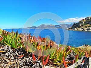 Corsica photo