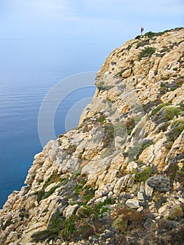 Corsican cliff outside Calvi (vert)