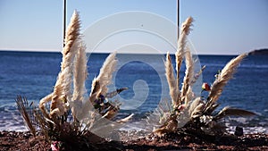 Cortaderia wedding arch flutters in the wind on the seashore