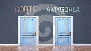 Cortex and amygdala as a choice - pictured as words Cortex, amygdala on doors to show that Cortex and amygdala are opposite