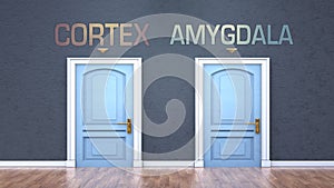 Cortex and amygdala as a choice - pictured as words Cortex, amygdala on doors to show that Cortex and amygdala are opposite photo