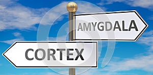 Cortex and amygdala as different choices in life - pictured as words Cortex, amygdala on road signs pointing at opposite ways to