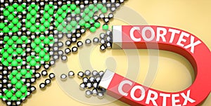 Cortex attracts success - pictured as word Cortex on a magnet to symbolize that Cortex can cause or contribute to achieving