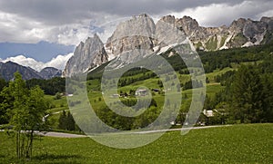 Cortina