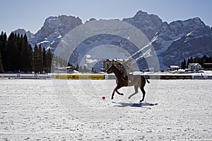 Cortina winter polo cup 2008