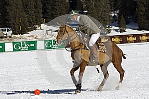 Cortina winter polo cup 2008